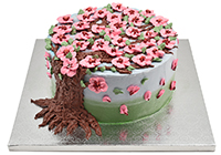 Simple Cake with Pink Flowers