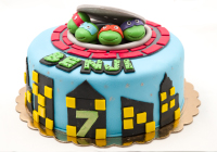 Ninja Turtles Fondant Cake